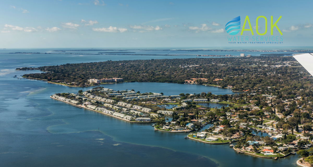 Chlorine: What St. Petersburg’s Water Isn’t Telling You