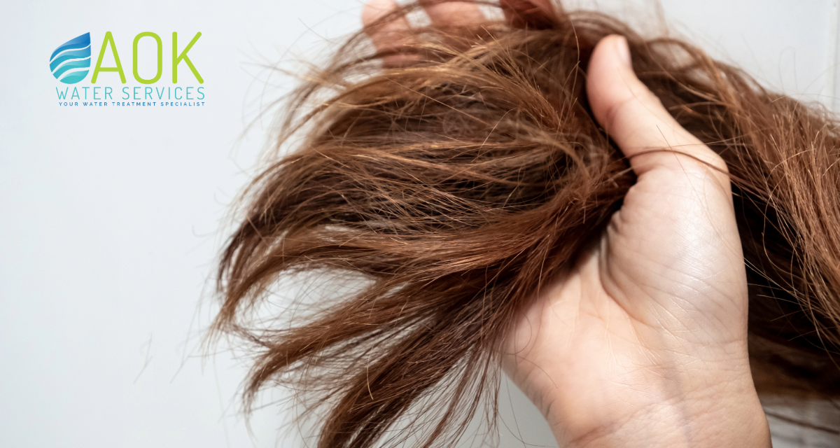 My Hair Was Breaking Constantly—Until I Fixed My Water