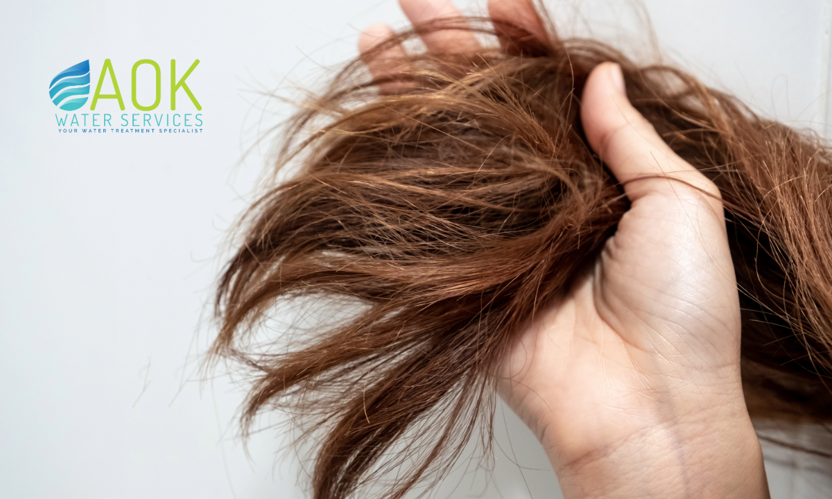 hair breakage Largo FL, hard water hair damage Largo, dry scalp Largo, water softener Largo FL, brittle hair Largo, Largo women hair loss, whole home water softener Largo, shampoo not working Largo, itchy scalp Largo FL, hard water hair Largo homes, Largo hard water effects, minerals in Largo water, Largo FL water quality, water softener for hair Largo, fix dry hair Largo FL