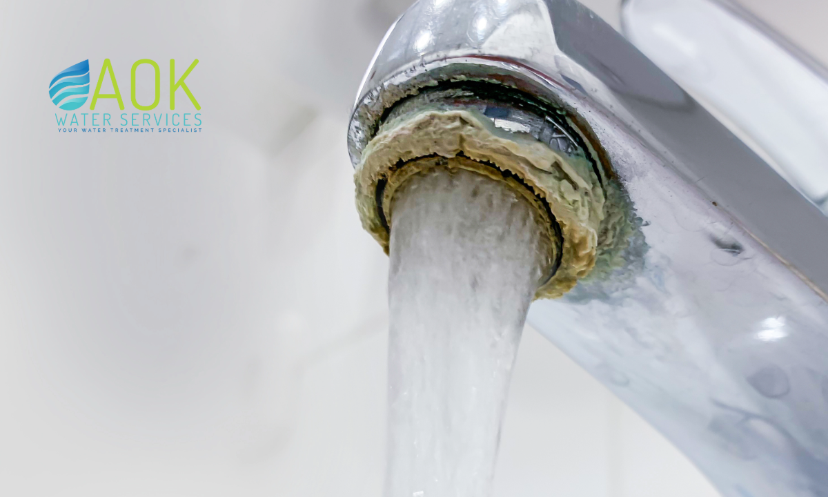 Largo, FL: High Mineral Content Is Damaging Your Water and Your Appliances