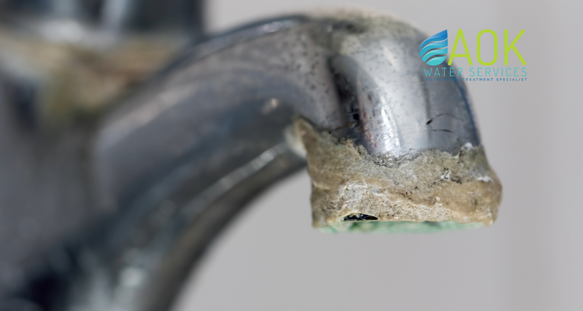 Is Your Water Heater Dying Early in Largo, Fl? Here’s Why