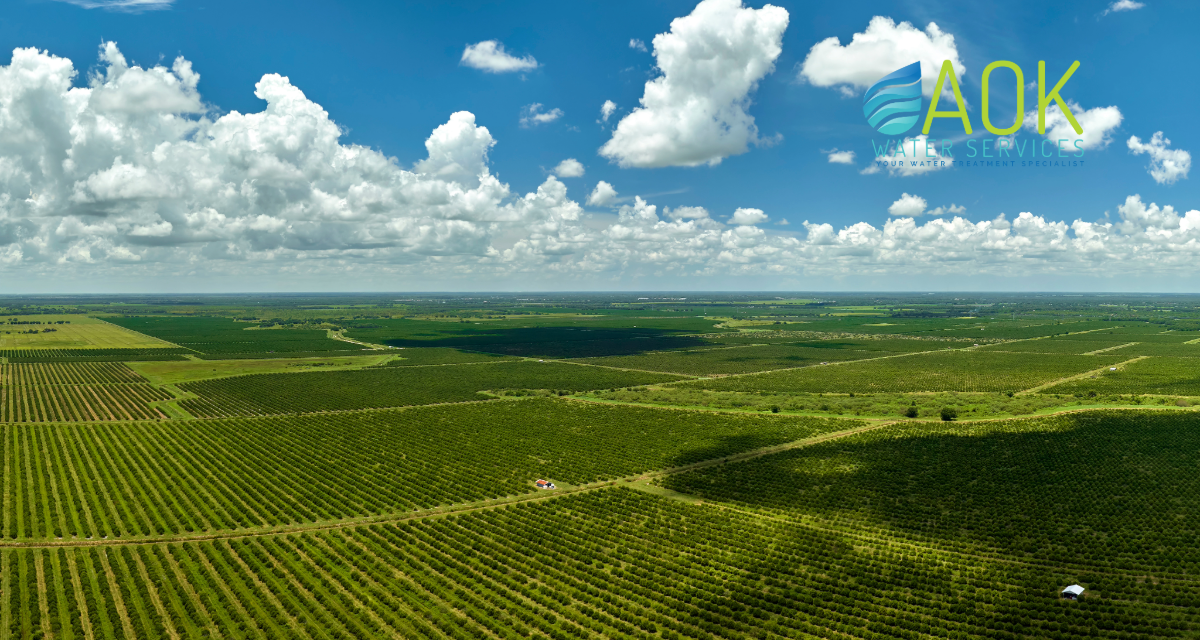Is There Pesticide Runoff in Your Polk County Water? Here’s What You Need to Know