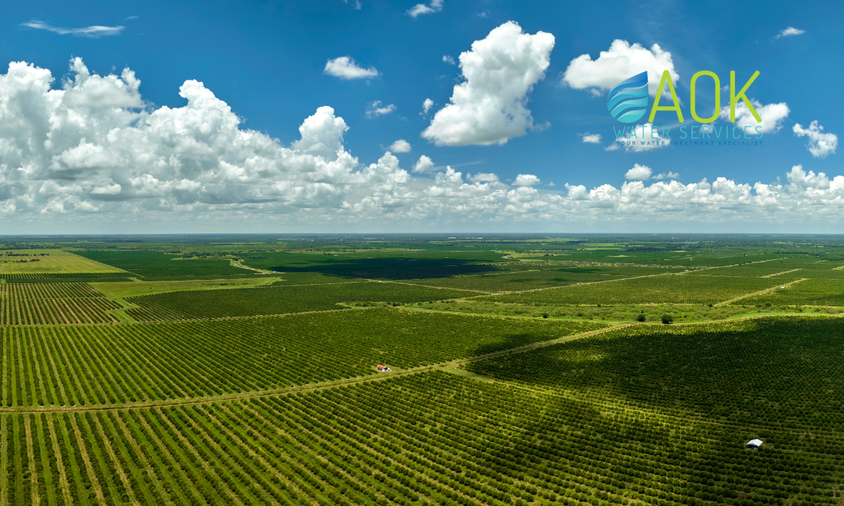 pesticide removal Polk County FL, Polk County water filtration, Lakeland water testing, Bartow water contamination, whole-house pesticide filter Florida, herbicide in drinking water FL, agricultural runoff water system, glyphosate water filter Polk, well water pesticide solution, safe water Polk County homes